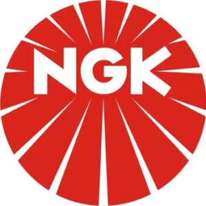 Zapalovací svíčka NGK (NG R0409B-9)
